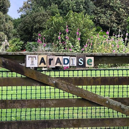 @Taradise-Opunake - Eco-Friendly Coastal Hideaway Luaran gambar